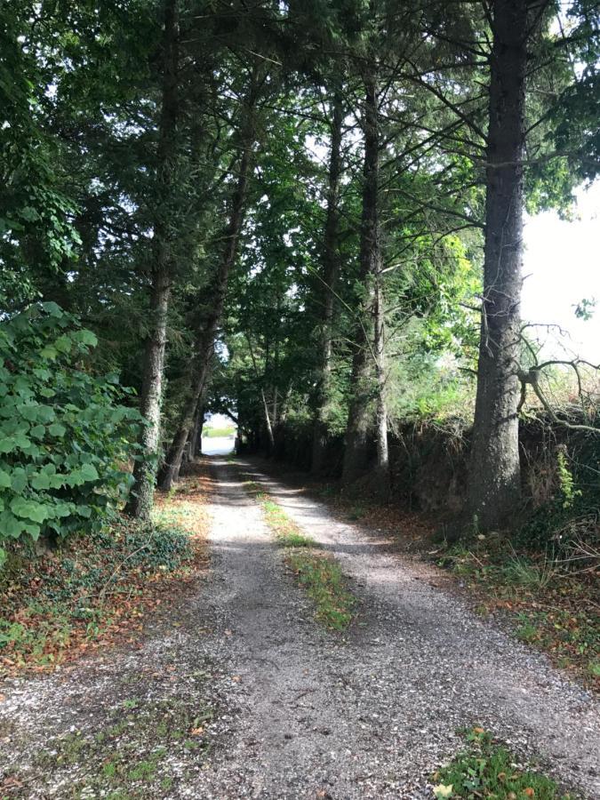Parc Ar Brun Bihan Minihy-Tréguier Buitenkant foto